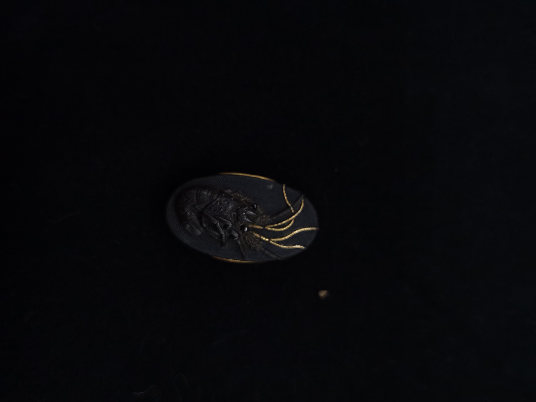 13304311234393252.jpg